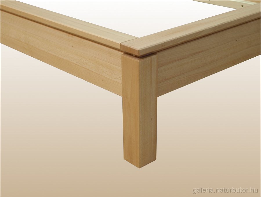 FAVORIT-agyk-1szem-standard-bukk-lakk- labv-r.jpg - FAVORIT �gykeret - l�bv�g r�szlet